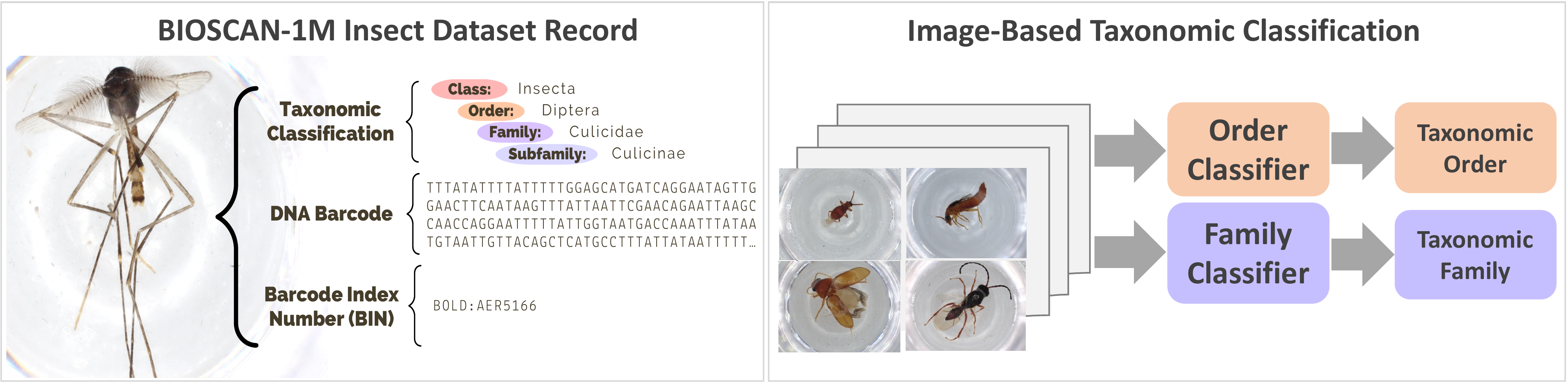 BIOSCAN_1M