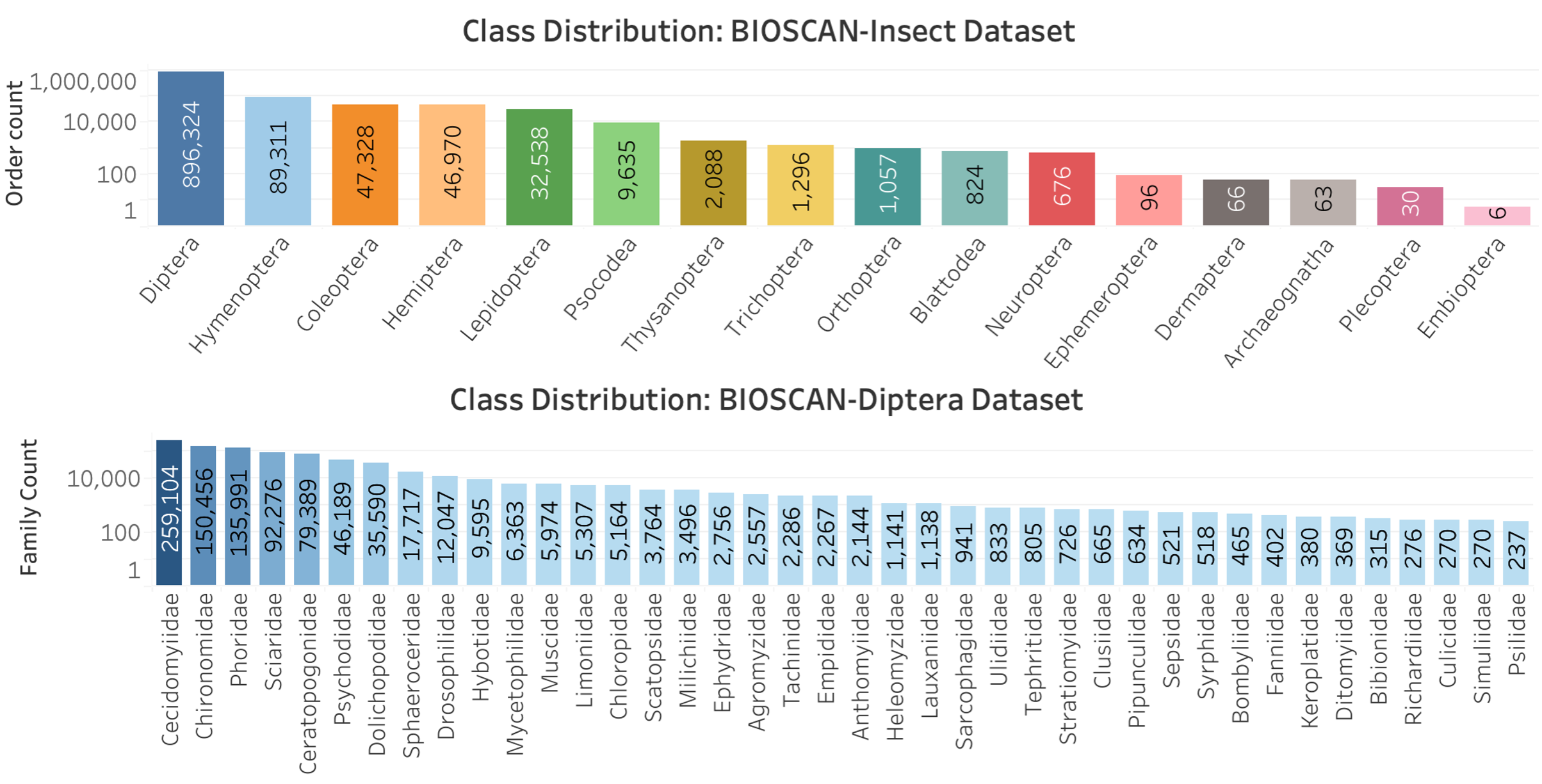 Class distribution