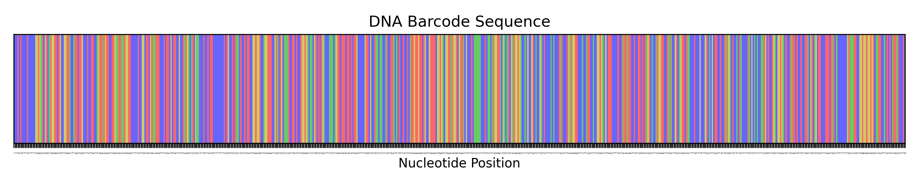 Visual representation of DNA sequence